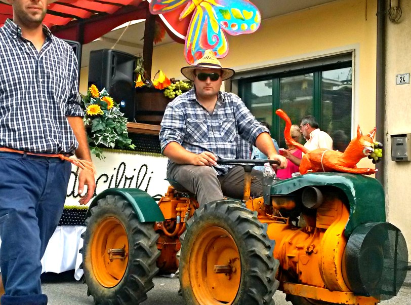 Wine festival parade in Vo: a man and his tractor