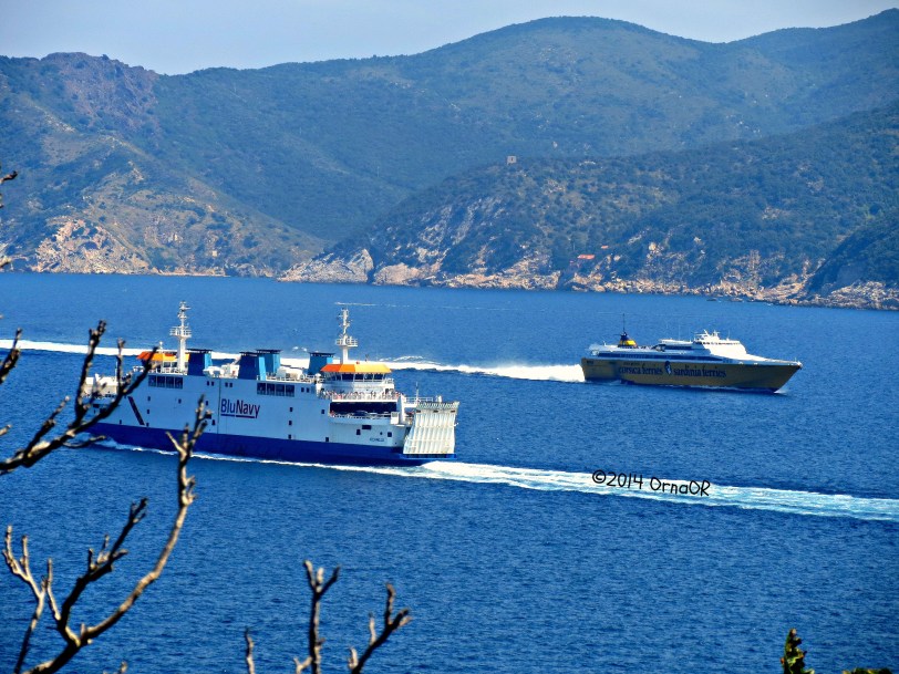 Ferries at Portoferraio, Elba