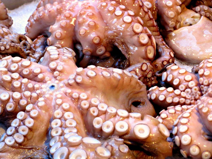Octopus at the market