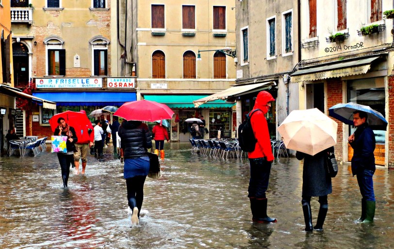 Stop for a chat during Aqua Alta. Business as usual!