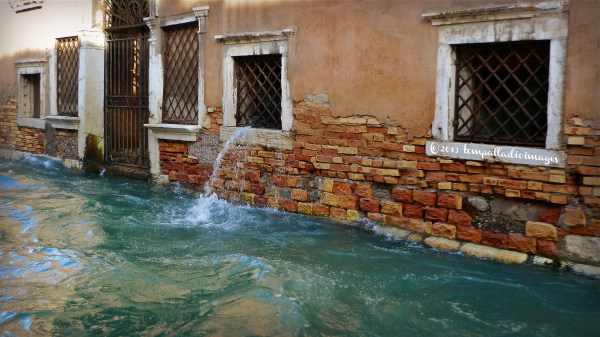 Water, water everywhere during Acqua Alta in Venice. Photo courtesy Tom Weber www.thepalladiantraveler.com 