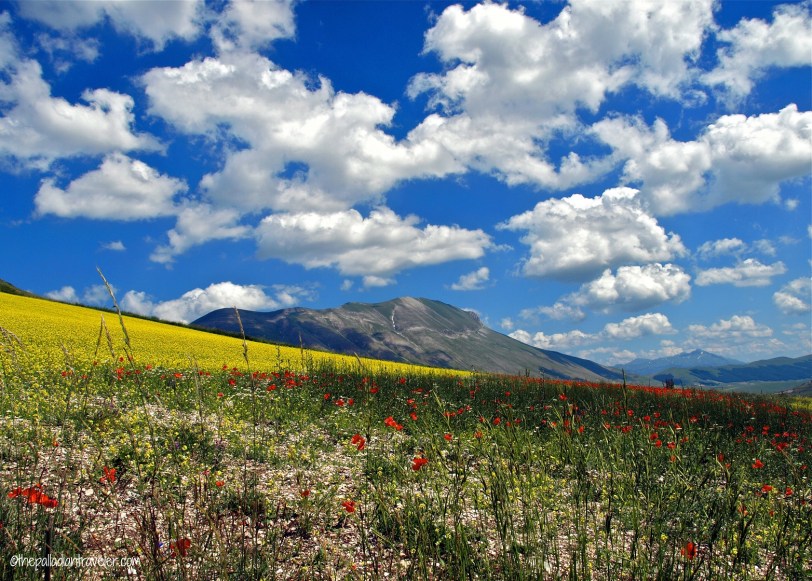 La Fioriatura via The Palladian Traveler