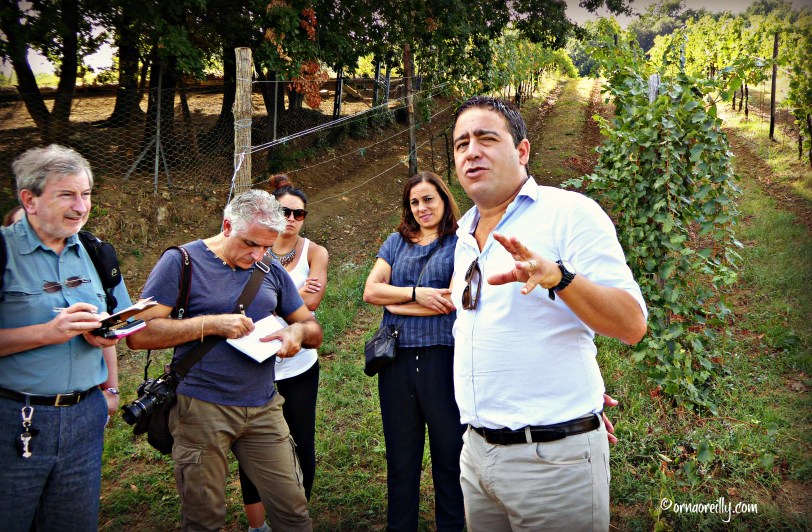 Terni Umbria l ©ornaoreilly.com