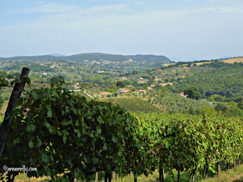 erni Umbria l ©ornaoreilly.com