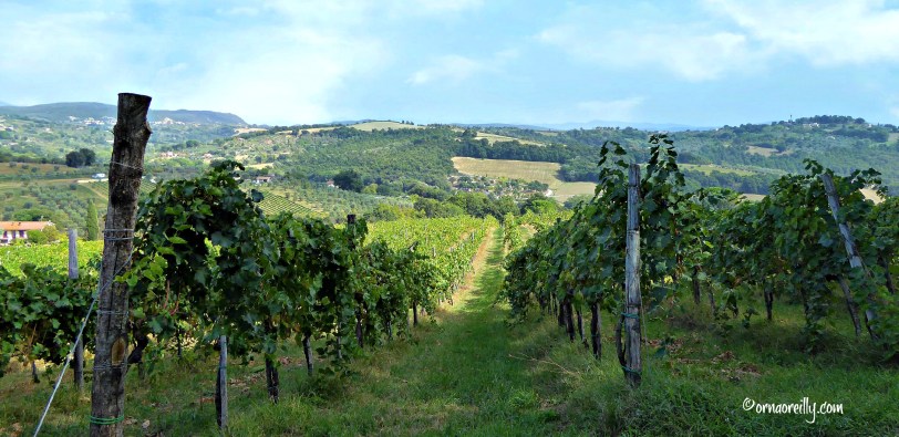 erni Umbria l ©ornaoreilly.com