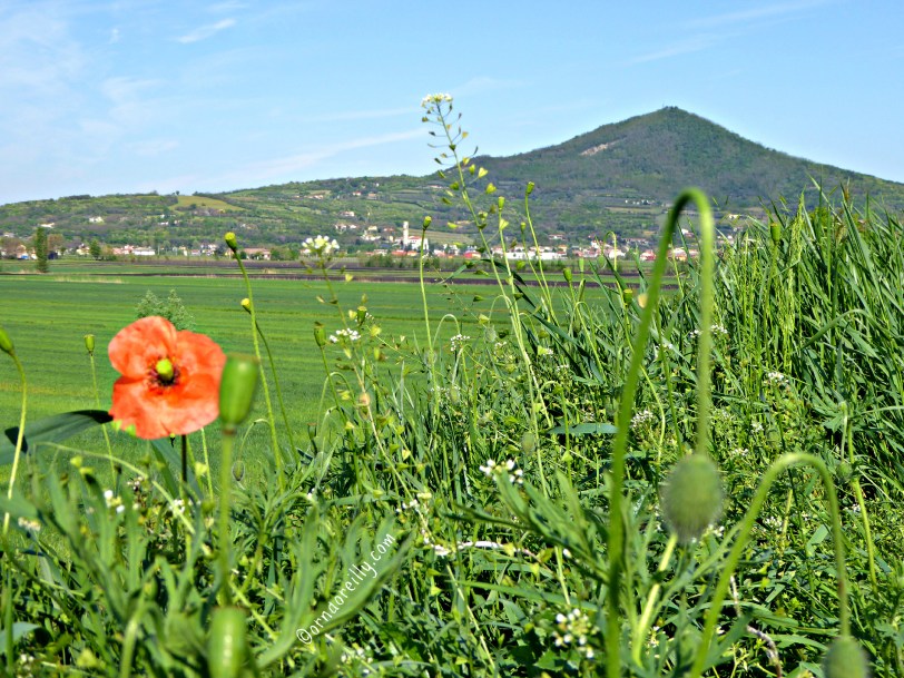 Euganean Hills l ©ornaoreilly.com