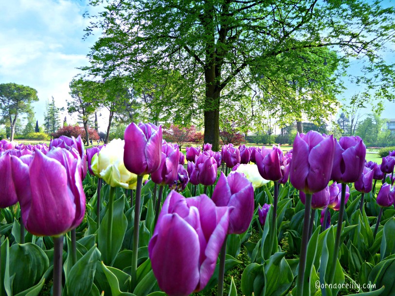 Giardini Sigurta, Verona