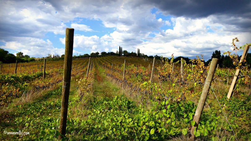 La Palazzola Umbria l ©ornaoreilly.com