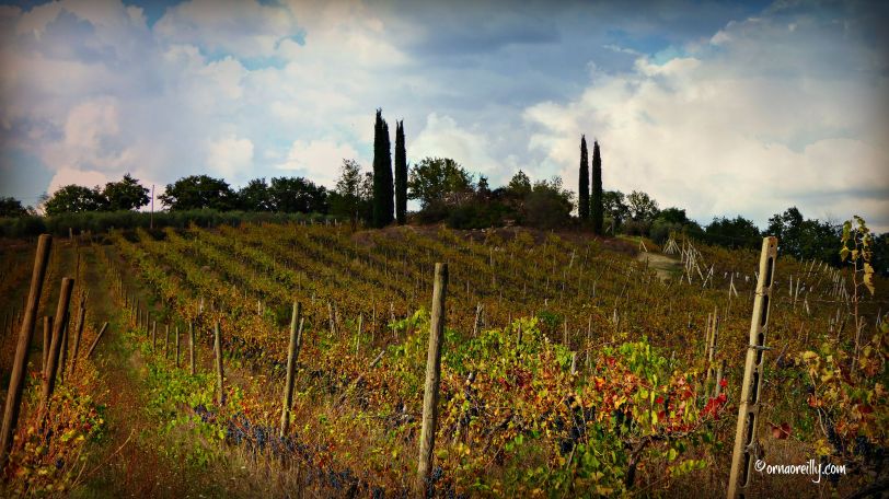 La Palazzola Umbria l ©ornaoreilly.com