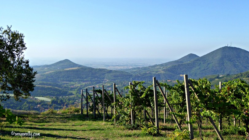 Euganean Hills l ©ornaoreilly.com