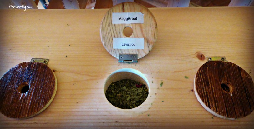 Dolomites Herbs l ©ornaoreilly.com