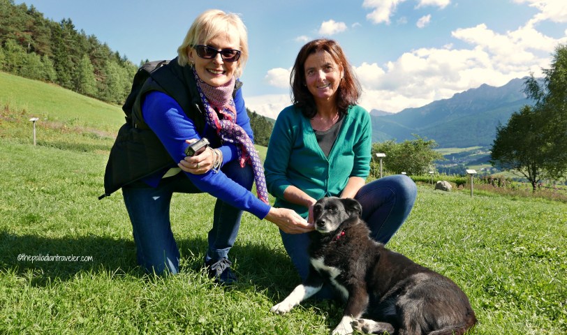 Dolomites Herbs l ©thepalladiantraveler.com
