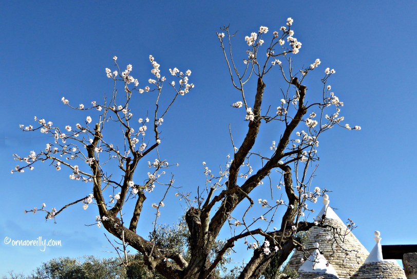Valle d'Itria l ©ornaoreilly.com