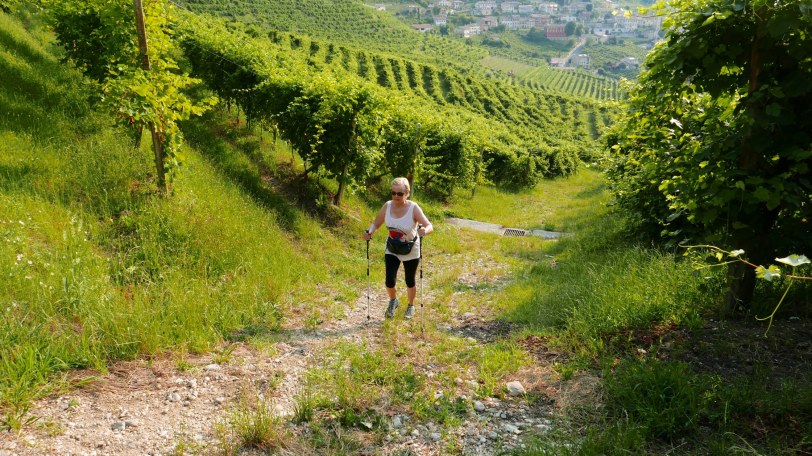 Valdobbiadine l ©ornaoreilly.com