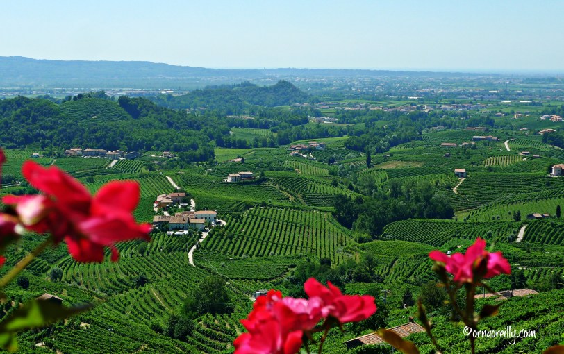 Valdobbiadine l ©ornaoreilly.com