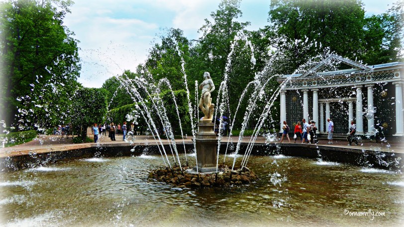 My Year in Photos 2016 l ©ornaoreilly.com