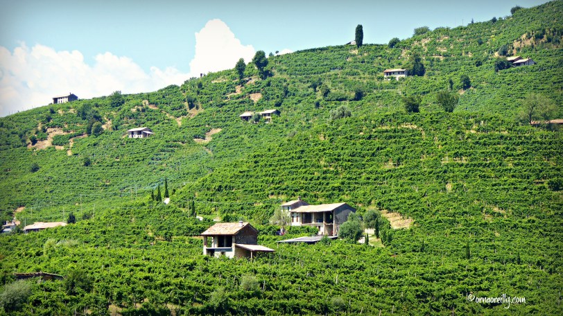 My Year in Photos 2016 l ©ornaoreilly.com