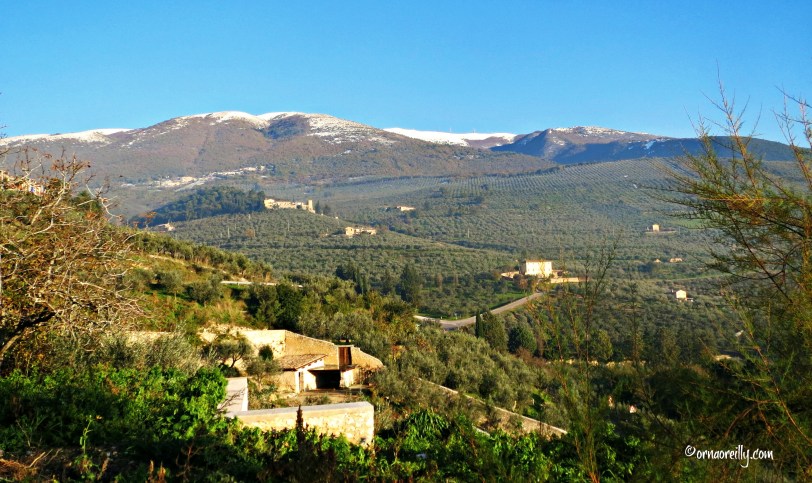 Umbria l ©ornaoreilly.com