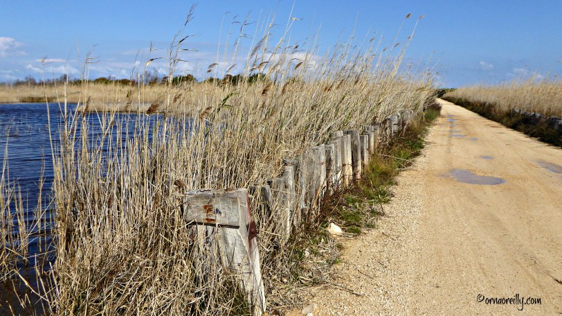 Torre Guaceto l ©ornaoreilly.com