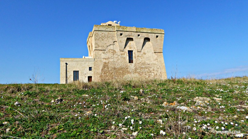 Torre Guaceto l ©ornaoreilly.com