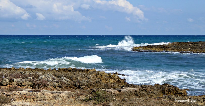 Torre Guaceto l ©ornaoreilly.com