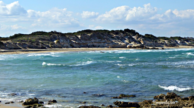 Torre Guaceto l ©ornaoreilly.com