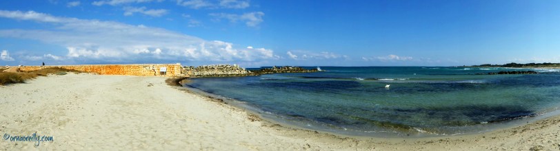 Torre Guaceto l ©ornaoreilly.com